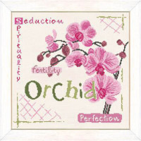 Orchidée. Séduction, spiritualité, fertilité, perfection.