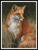 Tableau de renard roux