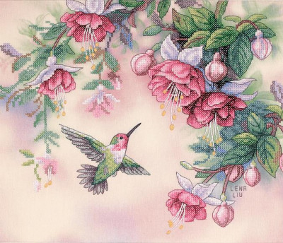 Oiseau-mouche et fuschias