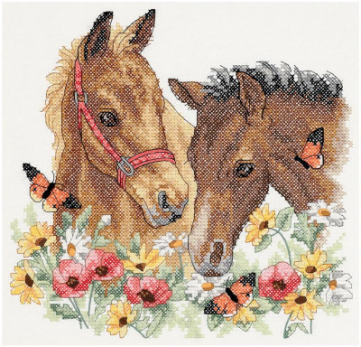 Chevaux amis