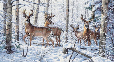 Les bois en hiver
