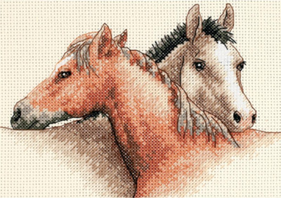 Chevaux potes