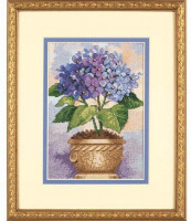 Floraison d'hortensia