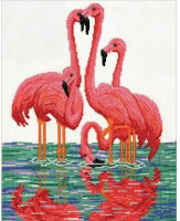 Flamants roses