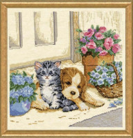 Chaton et chiot