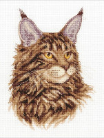 Maine coon