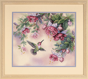 Oiseau-mouche et fuschias