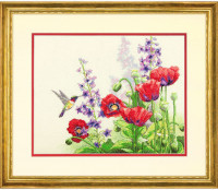 Colibris et coquelicots