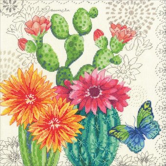 Floraison de cactus