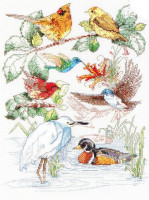 Sampler oiseau