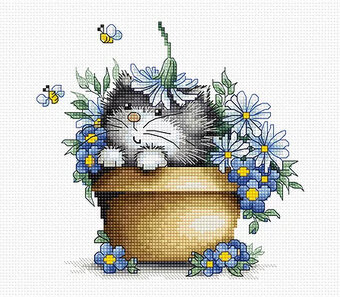 Chaton dans les fleurs