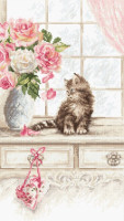 Chaton