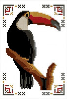 Toucan