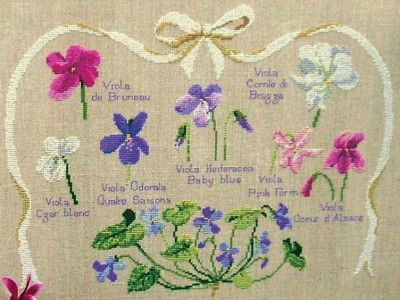 Planche botanique de violettes