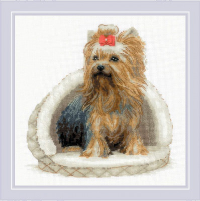 Yorkshire Terrier