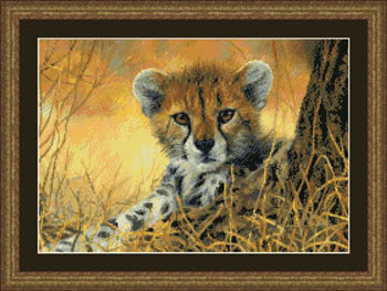 Bébé guépard